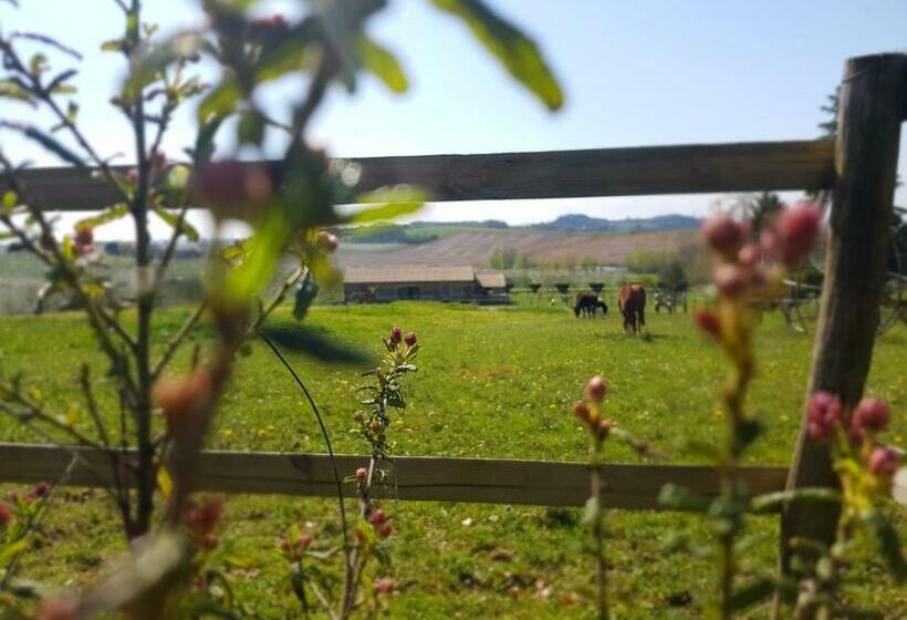 Bed and Breakfast Chambres D Hôtes Le Cartounier