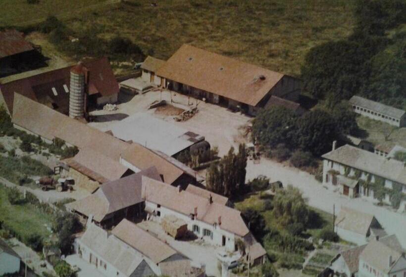 مبيت وإفطار Forest Farm