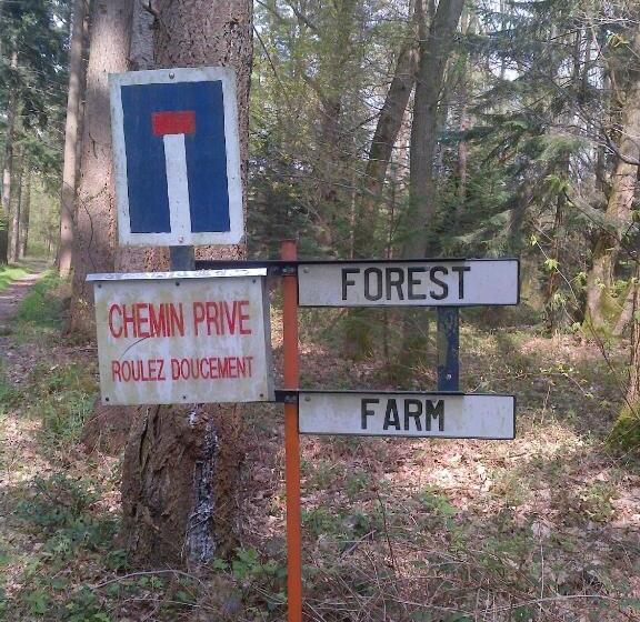 مبيت وإفطار Forest Farm