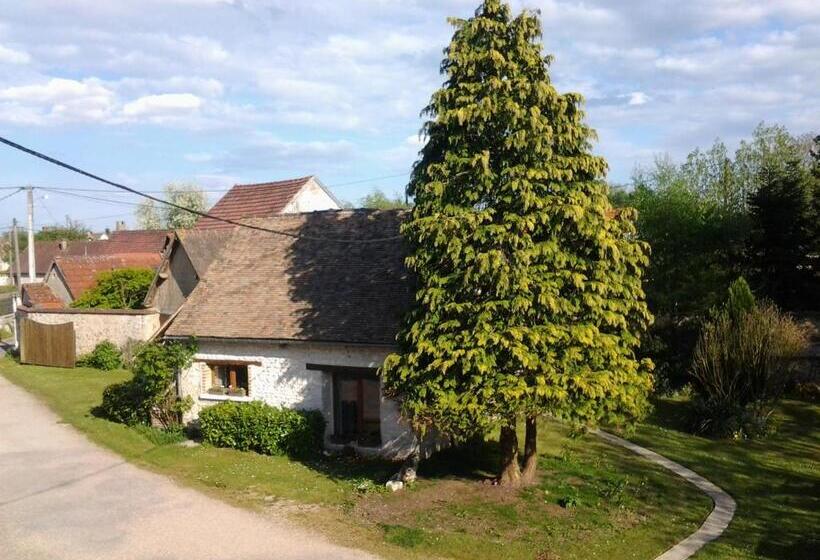 مبيت وإفطار Forest Farm