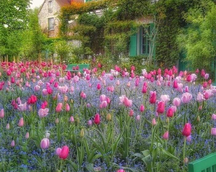 مبيت وإفطار Forest Farm