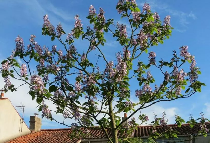 ベッドアンドブレックファースト L Aubinoise