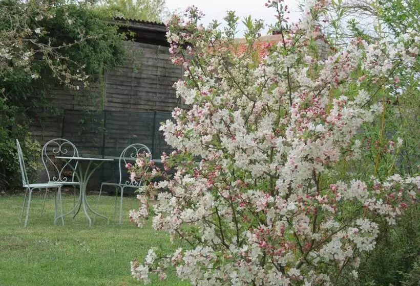 ベッドアンドブレックファースト L Aubinoise