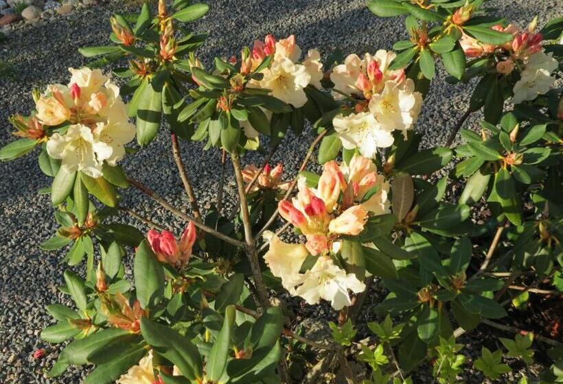 مبيت وإفطار L Aubinoise