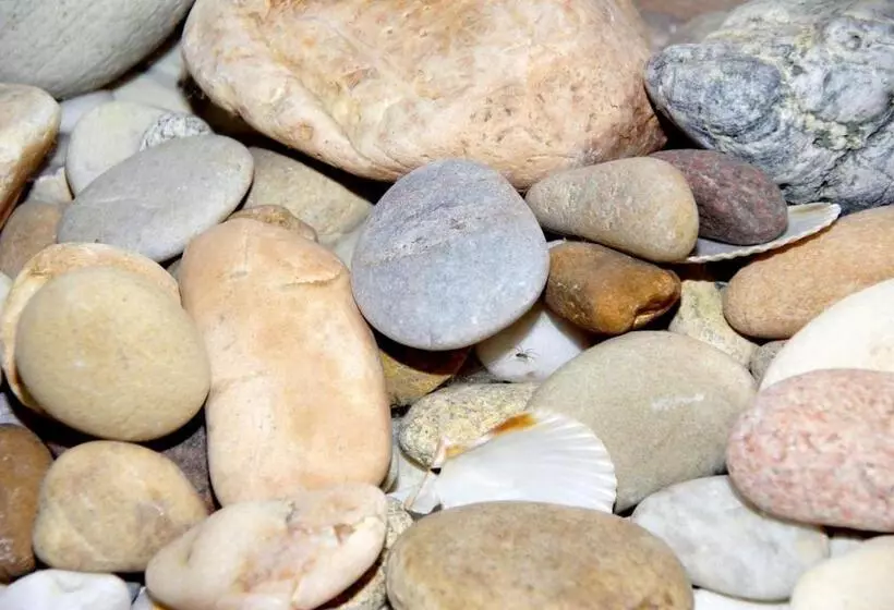 Bed and Breakfast ô Maxethel