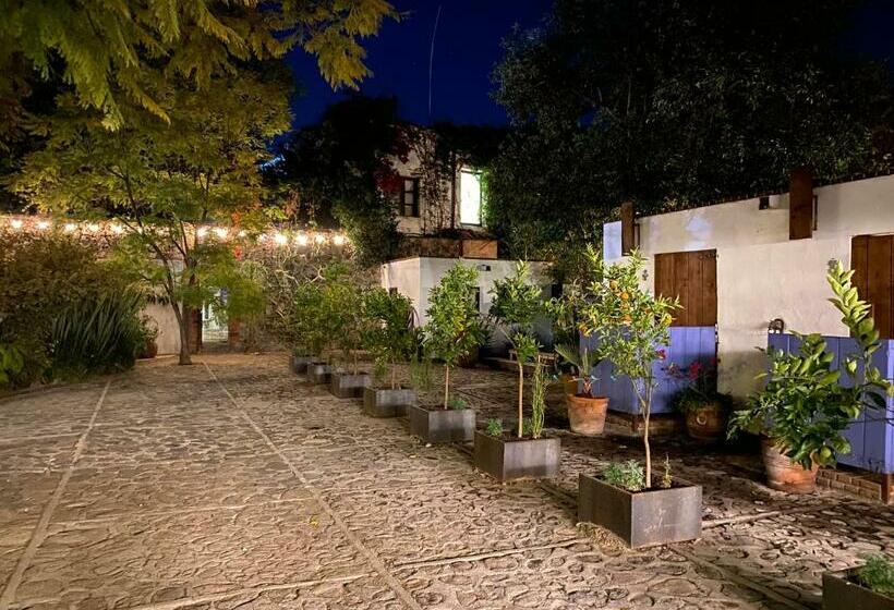 Posada Colibri Hotel & Spa