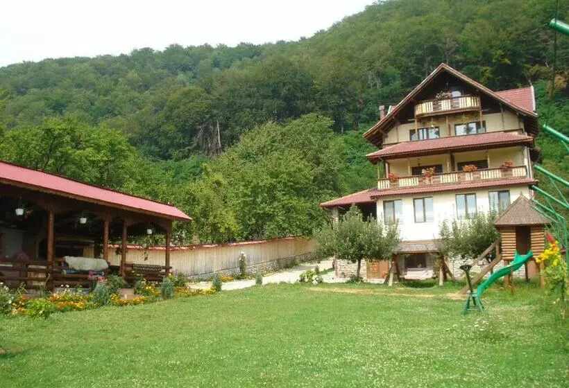 ペンション Casa Din Salcami