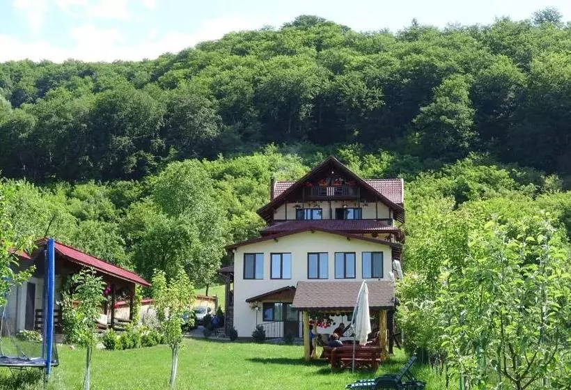 ペンション Casa Din Salcami