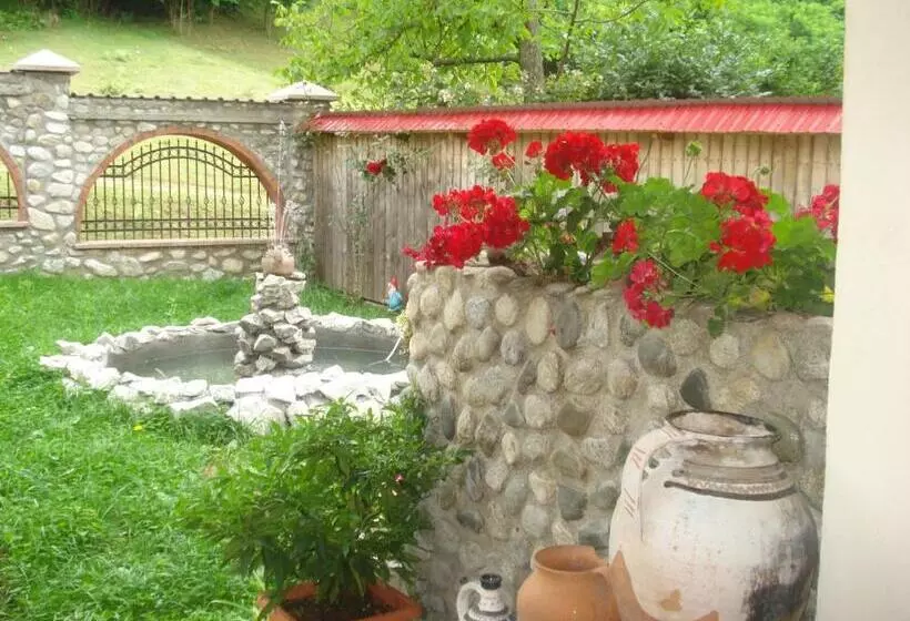 ペンション Casa Din Salcami