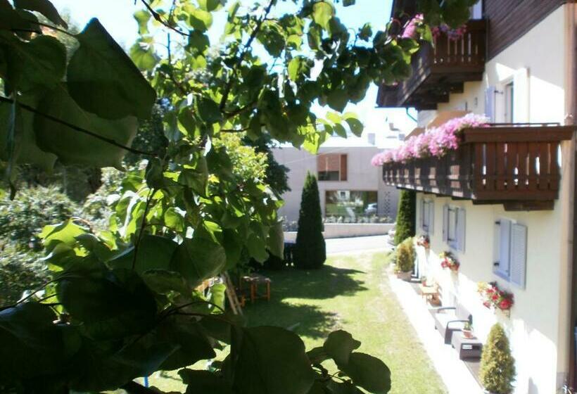 ペンション Garni Hattlerhof B&b