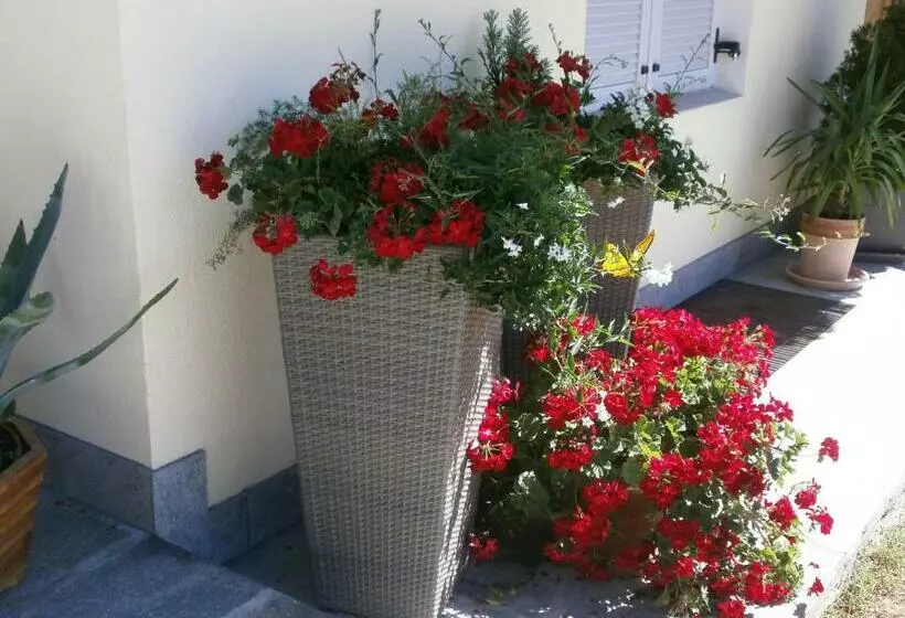 پانسیون Garni Hattlerhof B&b