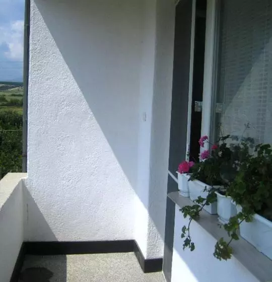 ペンション Velkovski Guest House