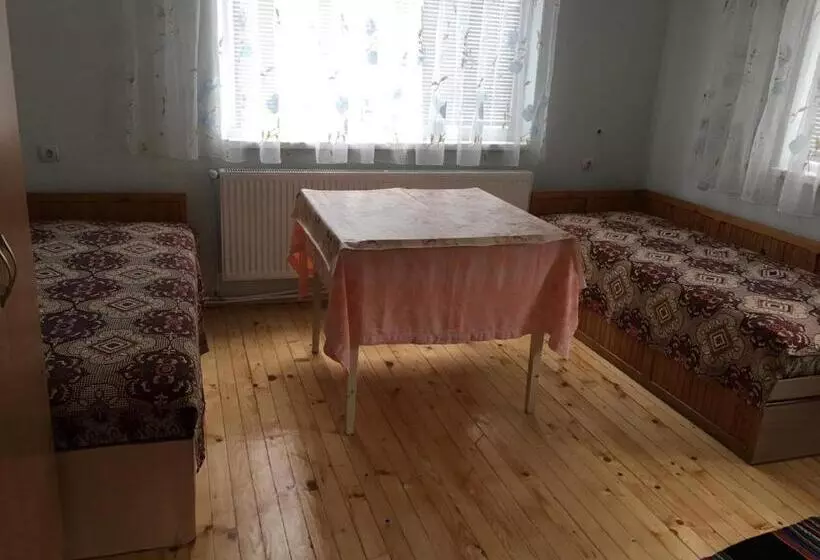ペンション Velkovski Guest House