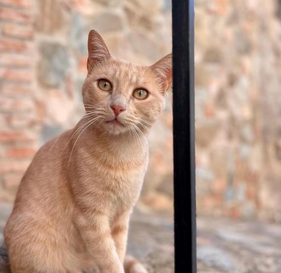 Bed and Breakfast La Magara