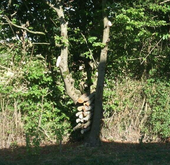 민박 La Maison Du L.a.c