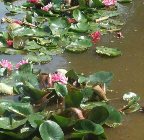 민박 La Maison Du L.a.c