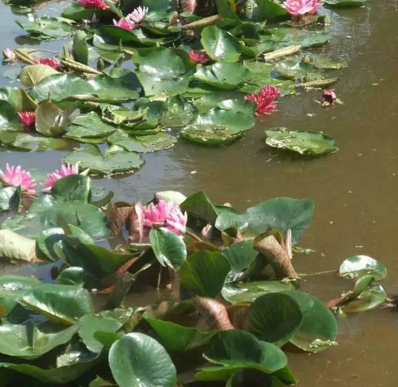 Aamiaismajoitus (B&B) La Maison Du L.a.c