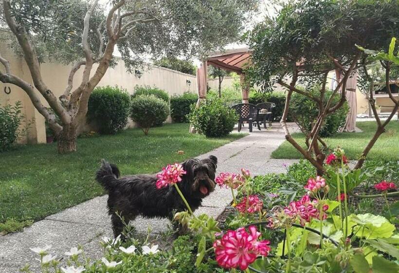 住宿加早餐  Mari E Luci