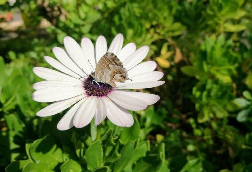 住宿加早餐  Mari E Luci