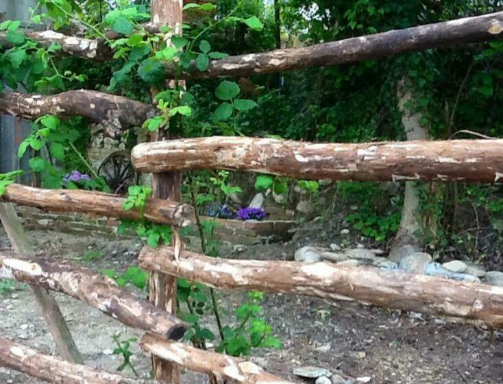 ベッドアンドブレックファースト Myricae