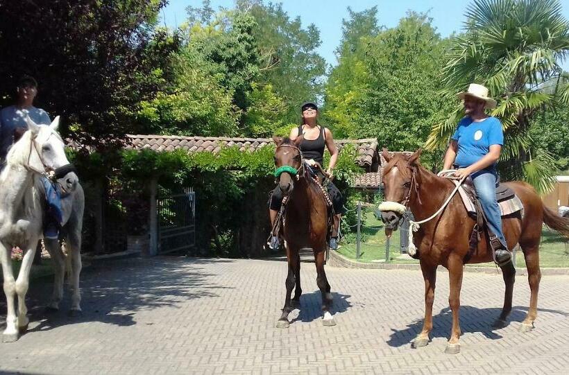 Bed And Breakfast Olimpia