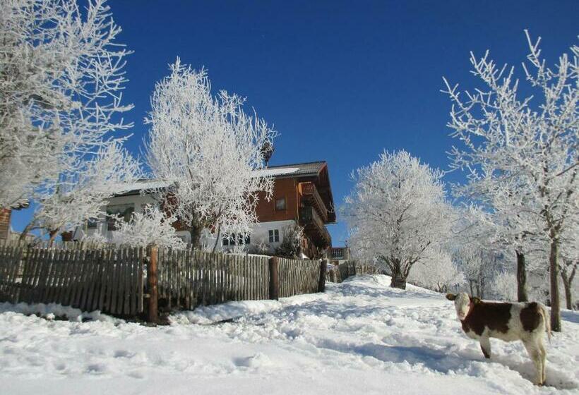 Bed and Breakfast Pension Stammerhof