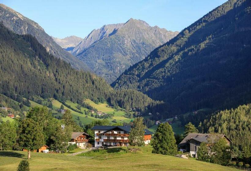 Bed and Breakfast Pension Stammerhof