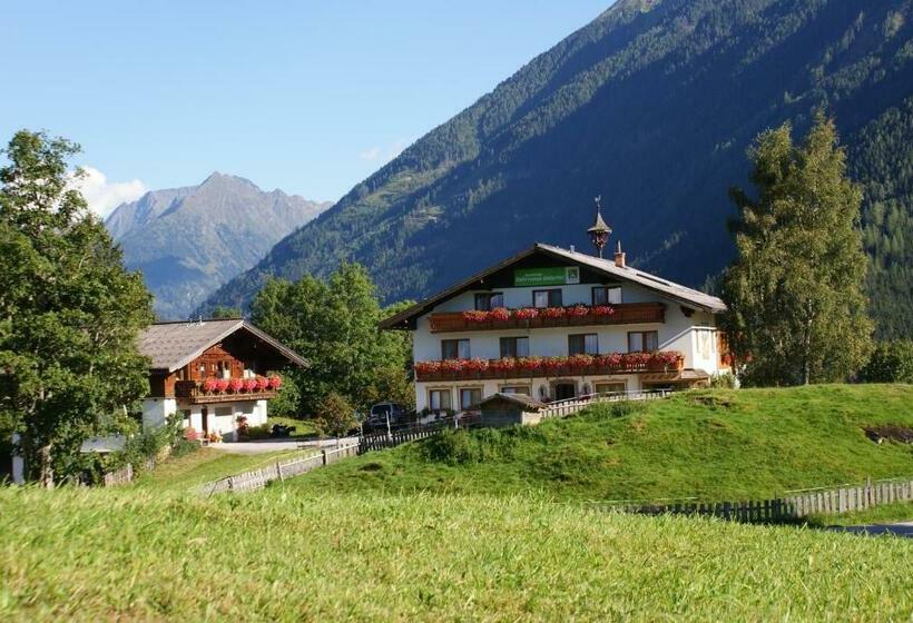 Bed and Breakfast Pension Stammerhof