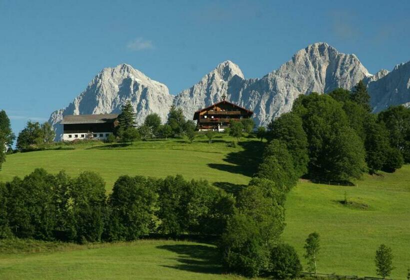 Bed and Breakfast Pension Stammerhof