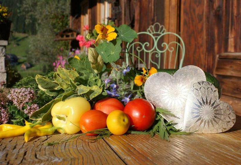 Bed and Breakfast Pension Stammerhof