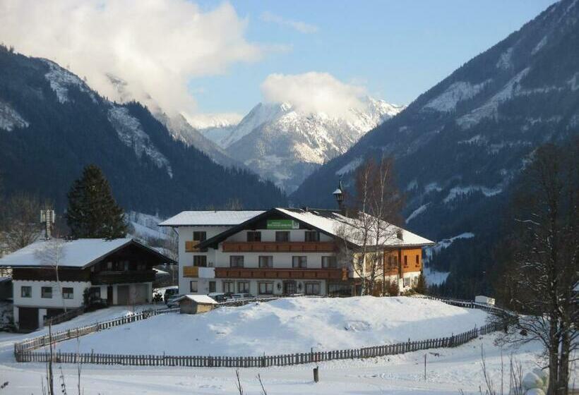 Bed and Breakfast Pension Stammerhof