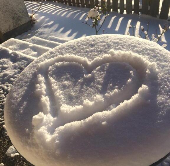 Bed and Breakfast Pension Stammerhof