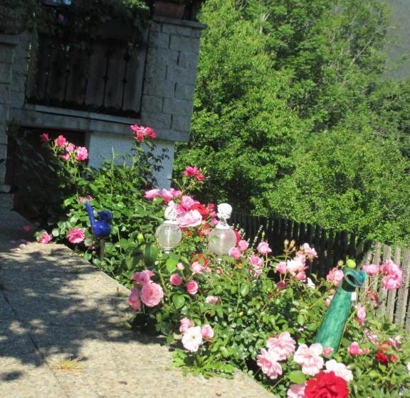 Bed and Breakfast Pension Stammerhof