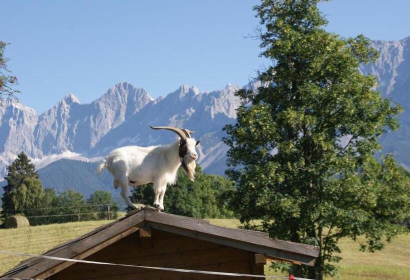 Bed and Breakfast Pension Stammerhof