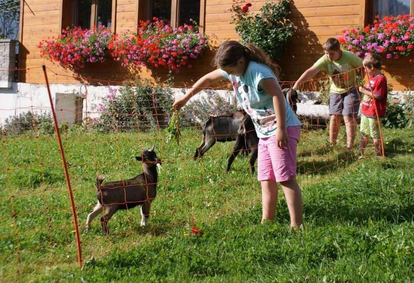 Bed and Breakfast Pension Stammerhof