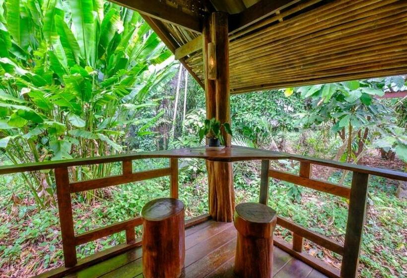 Khao Sok Silver Cliff Resort