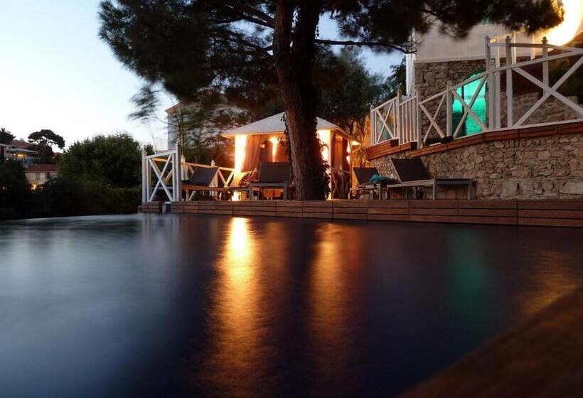 La Luna Of Marseille Villa D Architecte B&b