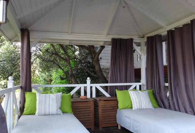 La Luna Of Marseille Villa D Architecte B&b