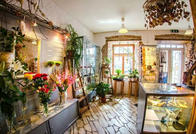 پانسیون Beguta Guest House