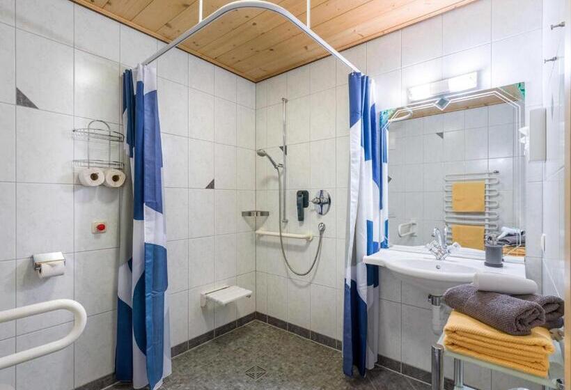 פנסיון Haus Am Wildbach