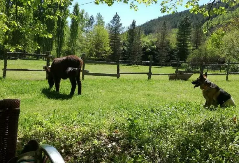 ペンション Les Cèdres Bleus De Joany