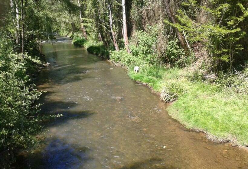 膳宿费 Les Cèdres Bleus De Joany