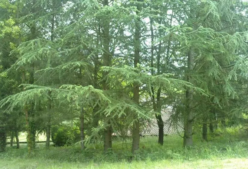 ペンション Les Cèdres Bleus De Joany