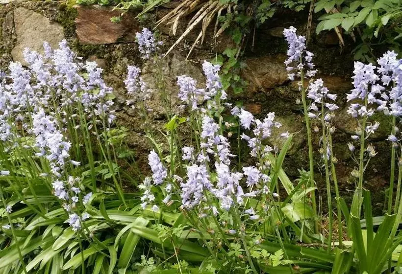 ペンション Les Cèdres Bleus De Joany