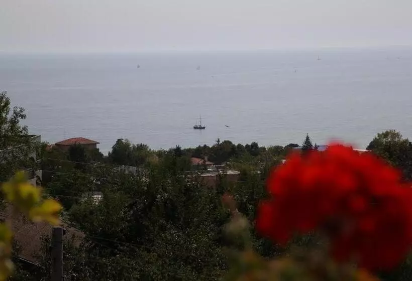 Majatalo Popov Guest House