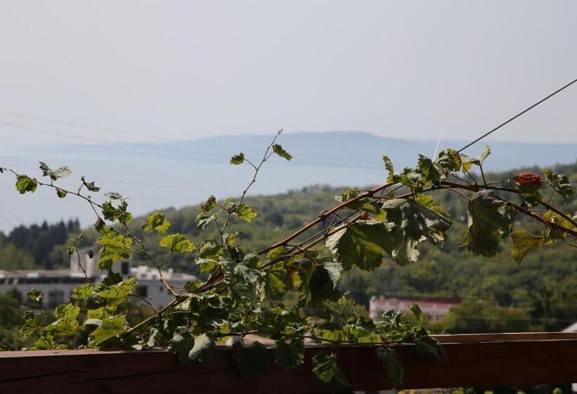 پانسیون Popov Guest House