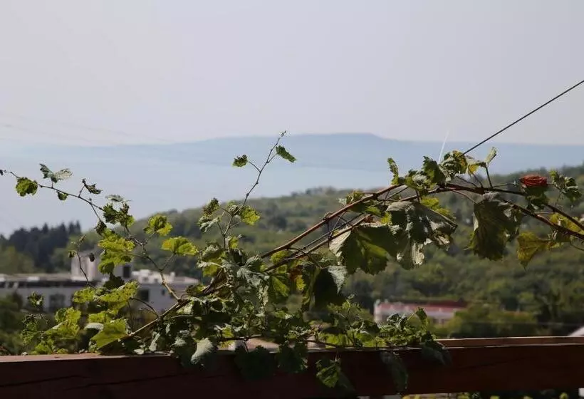 Majatalo Popov Guest House