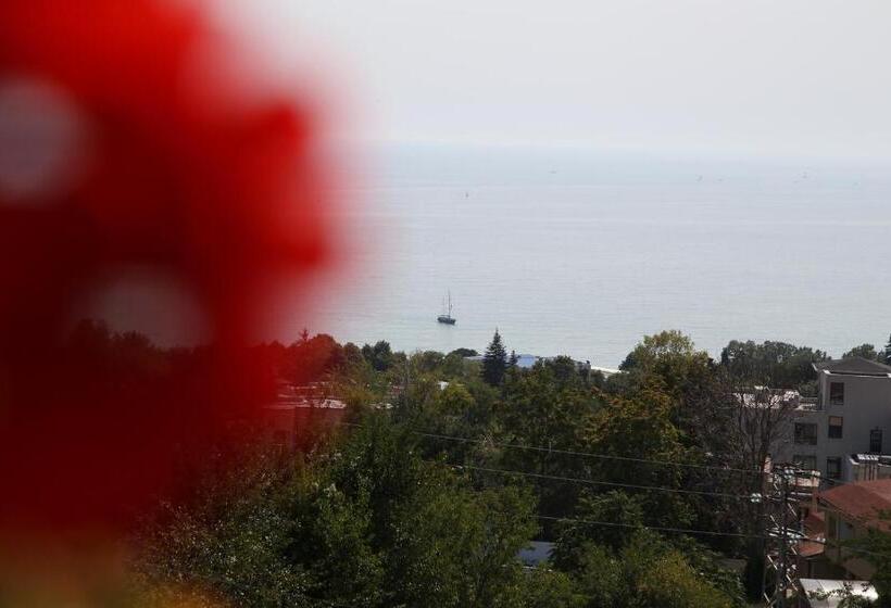 پانسیون Popov Guest House