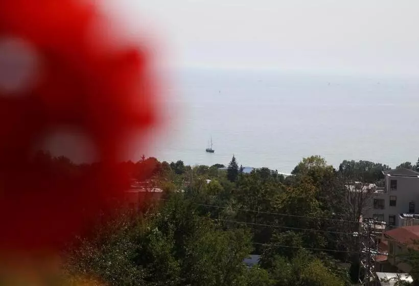 Majatalo Popov Guest House