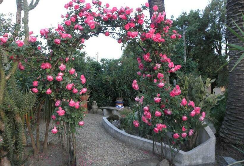 פנסיון Villa Ingrid